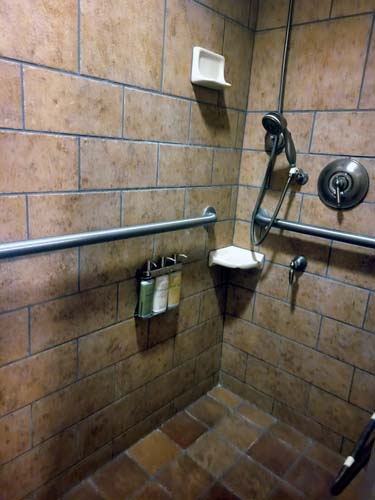 Kidani Village shower setup