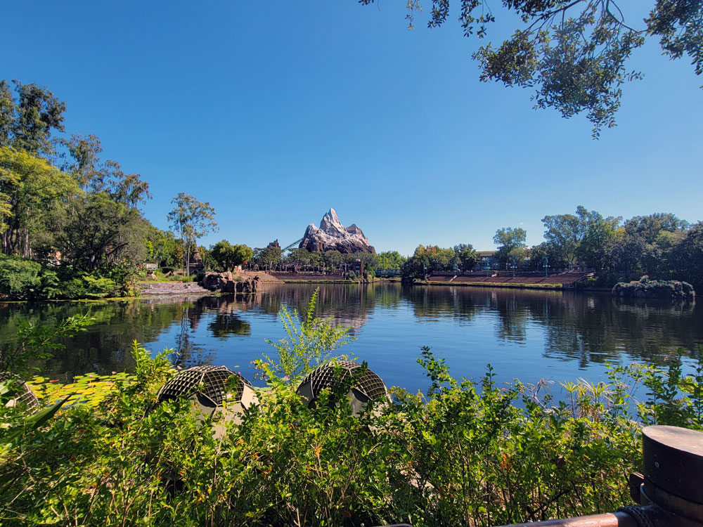 Flame Tree Barbecue Lake View 1
