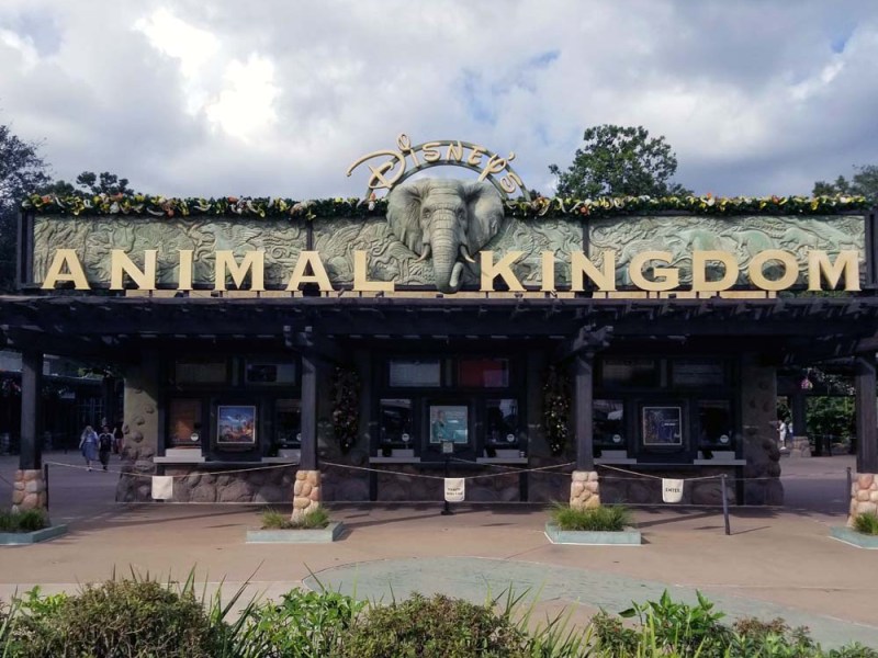 This is Animal Kingdom’s Best Kept Secret: Satu’li&nbsp;Canteen!