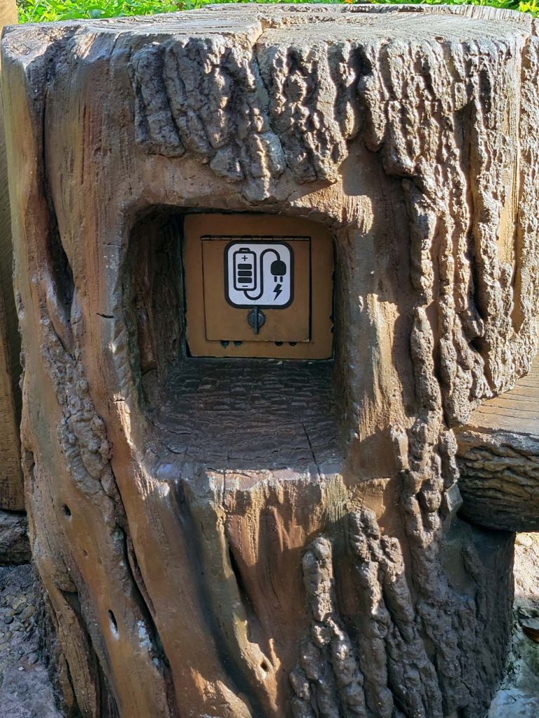 an electrical outlet in a tree trunk - Disney World