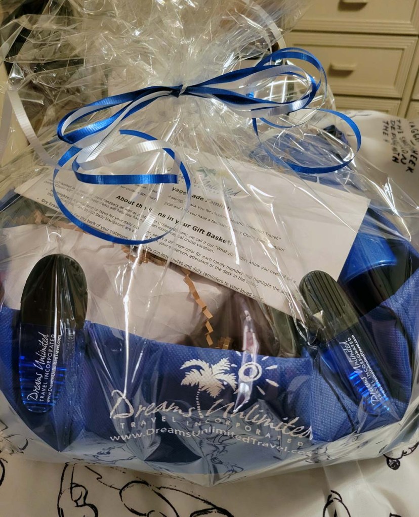 Dreams Unlimited Travel Agency - gift bag - wrapped