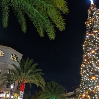 Christmas Tree Stroll: A Free Way to Celebrate Christmas at Disney&nbsp;Springs!