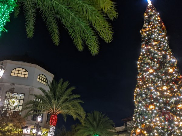 Christmas Tree Stroll: A Free Way to Celebrate Christmas at Disney&nbsp;Springs!